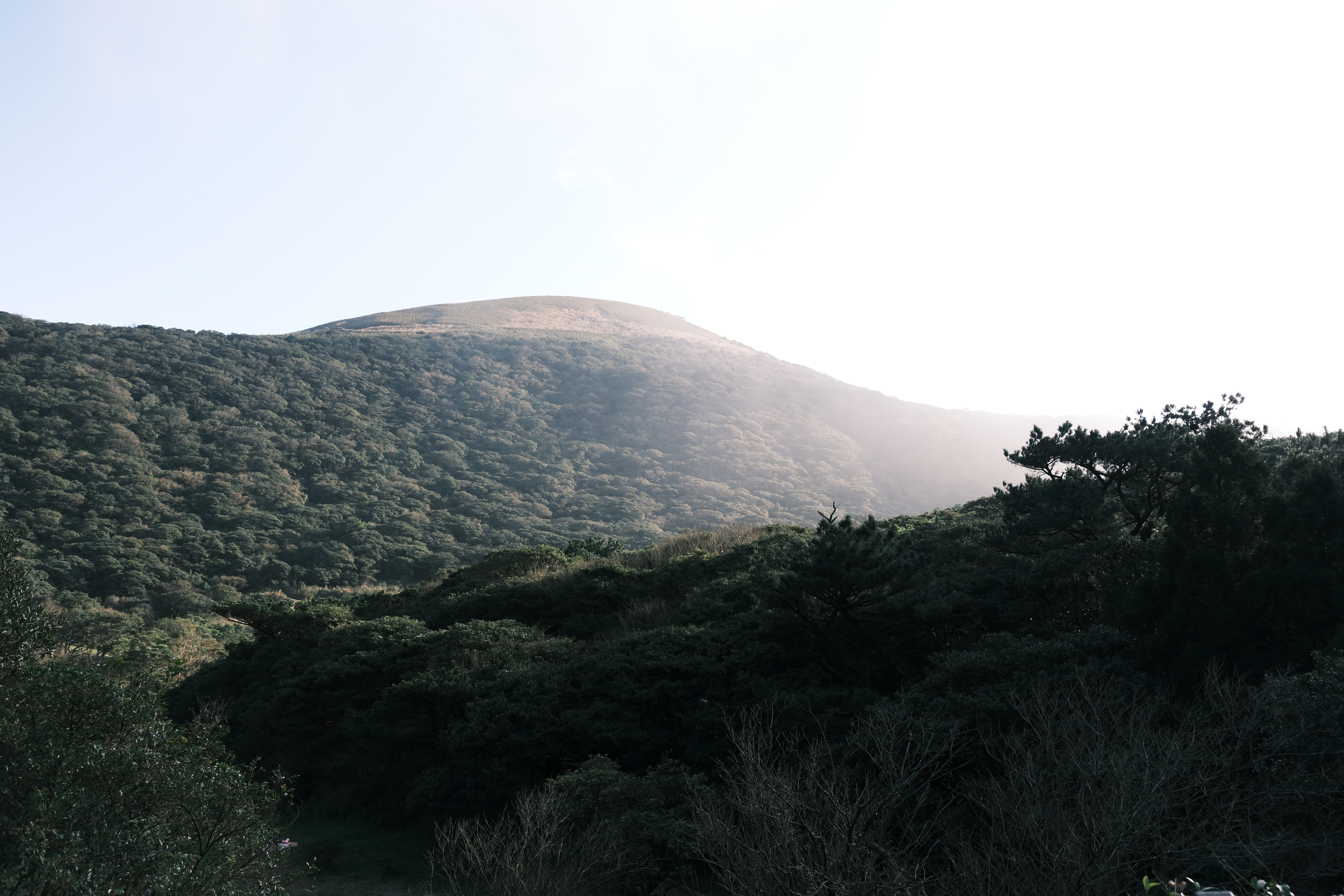 home-banner-background